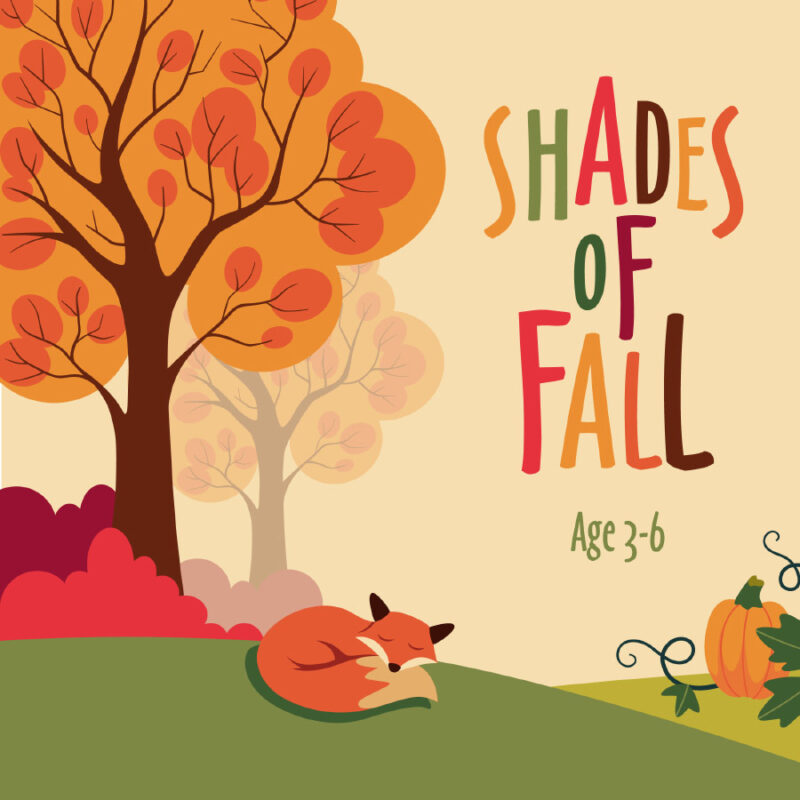 Shades of Fall
